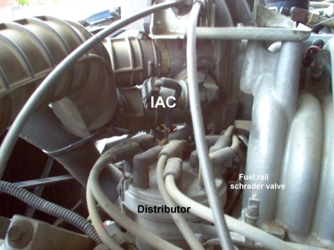 1983 Ford Bronco - V8 Fuel Pressure Port, Distributor, IAC, & Vacuum Tree (top R) [url=http://www.supermotors.net/registry/media/825934] http://www.supermotor…