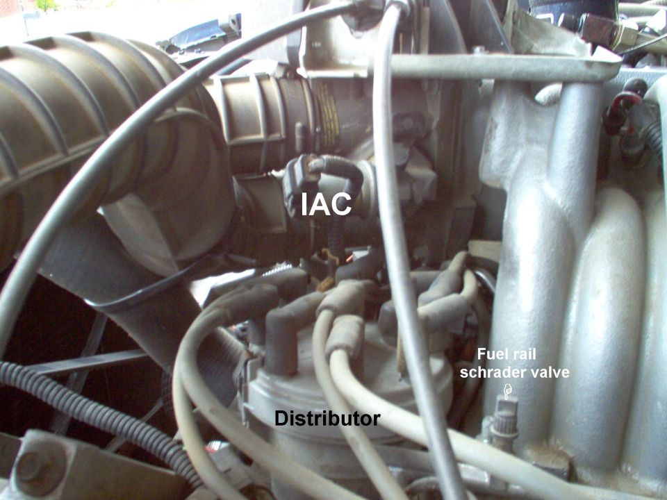 Engine bay labeling IAC, distributor and fuel rail Schrader valve on a Ford V8