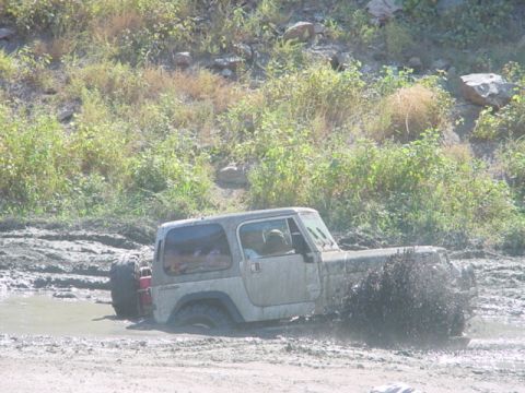 1988 Ford Bronco - Stuck cheep
