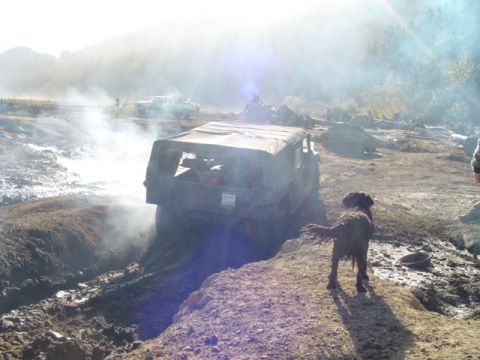 1993 Ford Bronco - An off-road vehicle struggles in thick mud while a dog observes the scene.