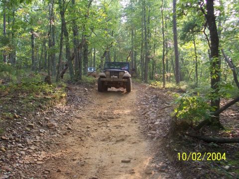 1994 Jeep YJ - Two Jeeps navigate a forest trail on a sunny day.