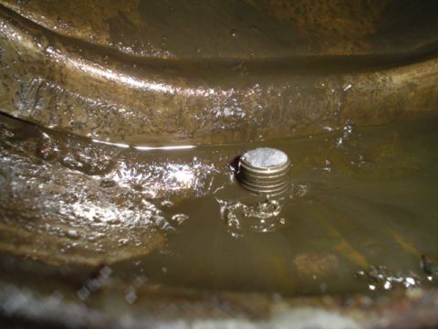 1981 Ford Bronco - A differential fluid plug is visible in murky fluid, suggesting a maintenance issue.