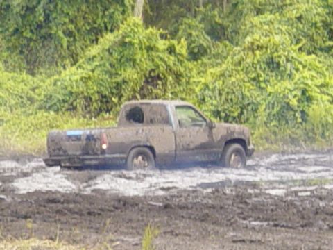 1989 Ford Bronco - Mud-covered pickup truck is stuck in a muddy field with vegetation in the background.