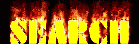 1995 Ford Bronco - Graphic text reads 'SEARCH' with a fiery effect.