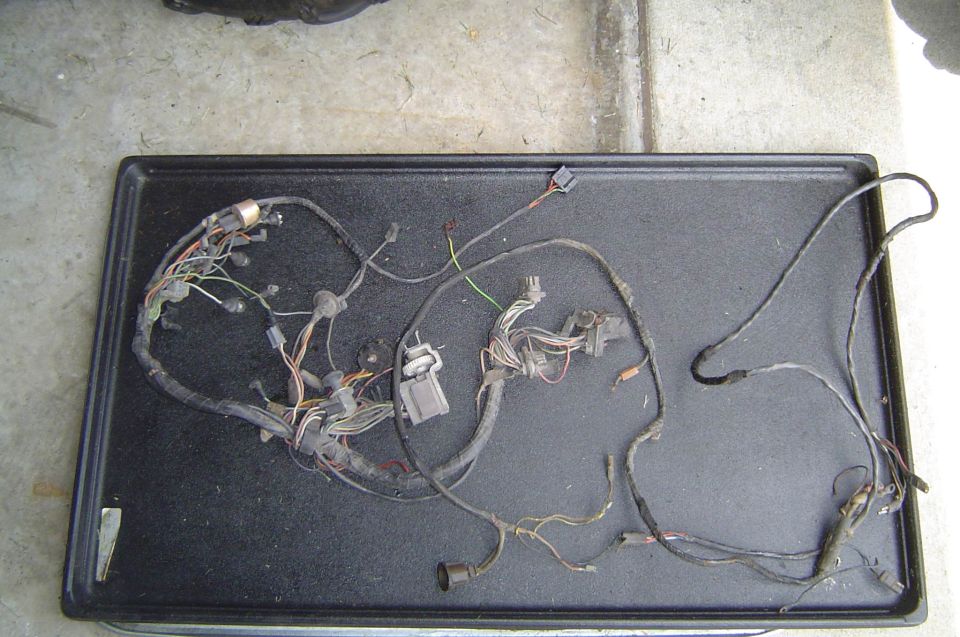 Removed vehicle wiring harness with connectors laid out on a black tray