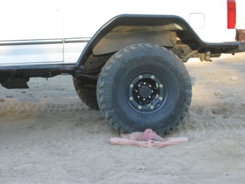 1985 Ford Bronco - SmashMan!