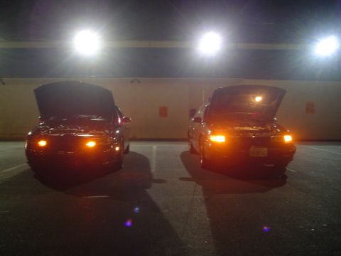 1993 Ford Taurus - Two 1993 Ford Tauruses are parked at night with their hoods open and headlights illuminated.