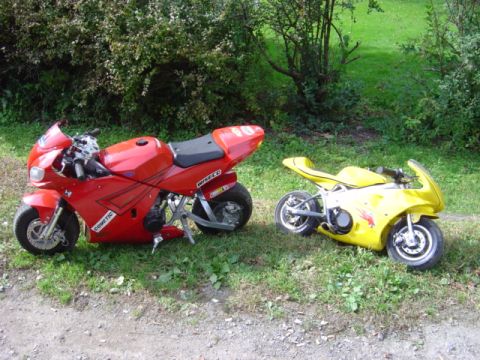 1998 Ford Taurus - Two small sport bikes, one red and one yellow, sit on a grassy area.