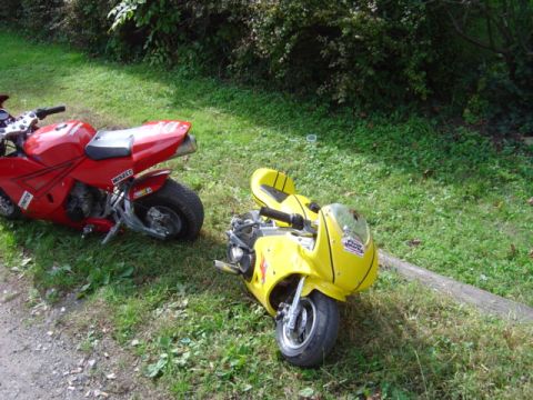 1998 Ford Taurus - Two small sport bikes sit on a grassy area next to some bushes.