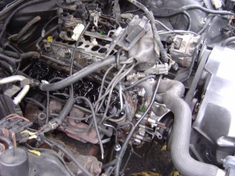 1998 Ford Taurus - Close-up view of a complex engine bay with many hoses and wires.