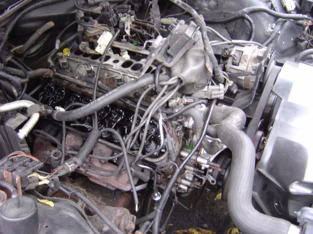 Engine bay with exposed engine parts, hoses, and wiring. Some oil residue is visible