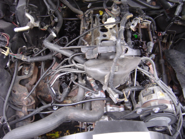 Engine bay with complex wiring and hoses