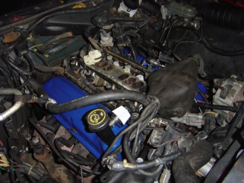 1998 Ford Taurus - The engine bay is filled with components, including blue valve covers and numerous electrical connections.