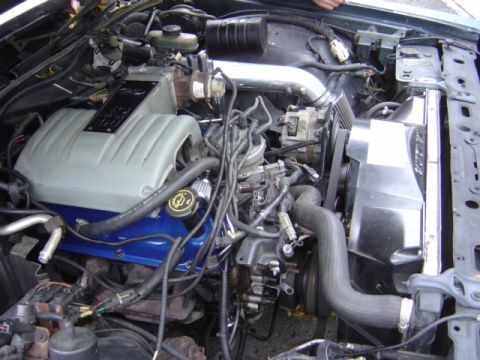 1998 Ford Taurus - Close-up view of a Ford engine bay, a silver intake manifold and blue valve covers.