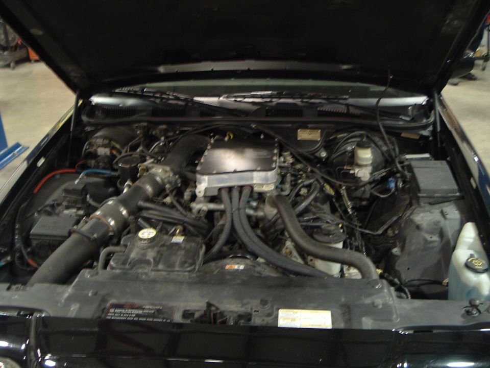 Engine bay of a dark car showing a V8 with intake plenum, plug wires, and brake booster