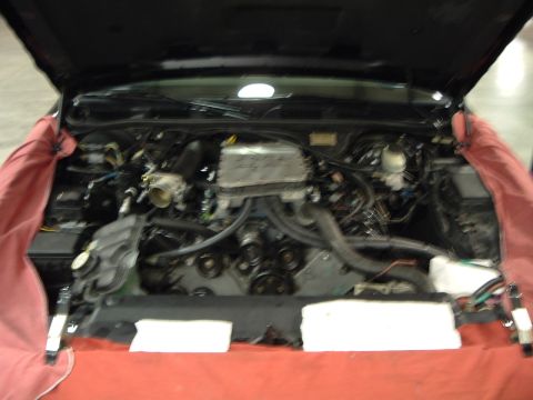 1995 Mercury Grand Marquis - Vic 2 Engine