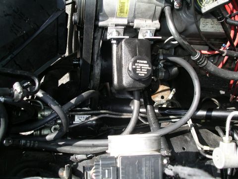 1996 Ford Bronco - Close-up view of the engine bay, focusing on the power steering system components.