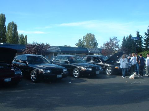 1999 Ford Crown Victoria - The Marauders