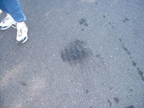 1999 Ford Crown Victoria - An oil stain on the asphalt suggests a vehicle may have leaked fluid.