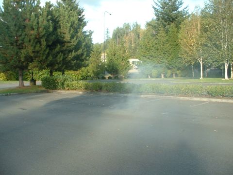 1999 Ford Crown Victoria - An empty parking lot is shown with trees and bushes surrounding it under a partly cloudy sky.
