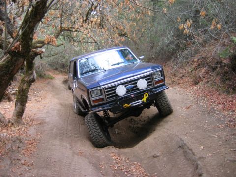 1985 Ford Bronco - jungle
