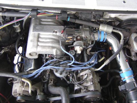 1993 Ford Bronco - Close-up view of a V8 engine, highlighting the intake manifold, distributor, and various hoses and wires.