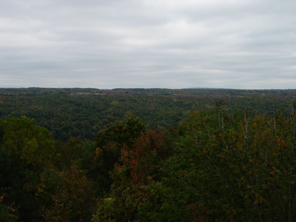 Overcast sky above forested hills and trees