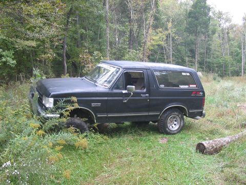 1988 Ford Bronco - A black Ford Bronco sits off-road in a wooded area, its front tire hidden by overgrown plants.