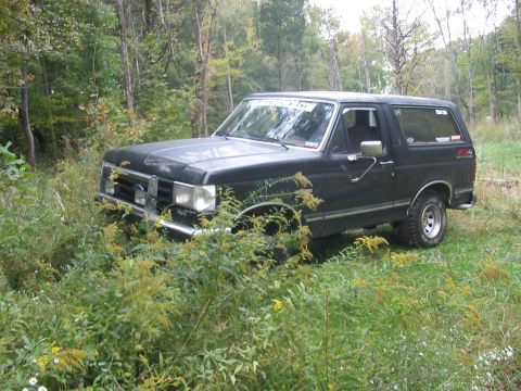 1988 Ford Bronco - A black 1988 Ford Bronco is partially obscured by tall grass and foliage in a wooded area.