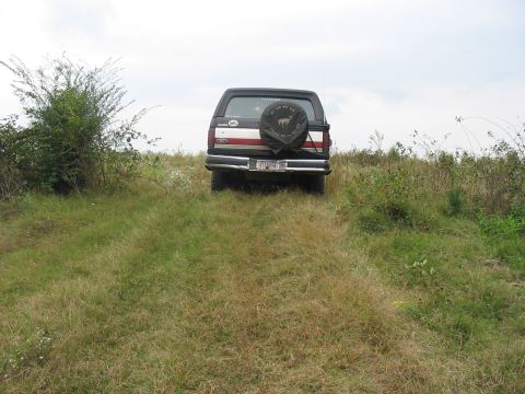 1988 Ford Bronco - This Ford Bronco is parked on a grassy hill, with a spare tire cover a horse emblem.