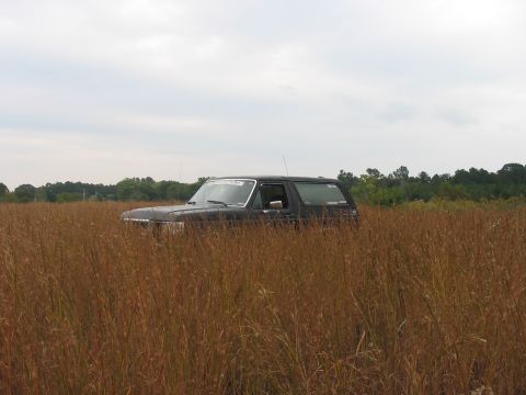 1988 Ford Bronco - A dark brown Ford Bronco is seen from its front three-quarter view, partially hidden in a field of dry grass under an overcast sky.