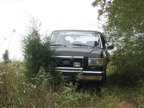 1988 Ford Bronco - A black 1988 Ford Bronco is partially obscured by foliage, with a website sticker visible on its windshield.