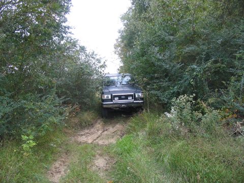 1988 Ford Bronco - A 1988 Ford Bronco navigates a wooded trail.