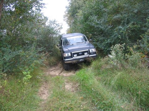 1988 Ford Bronco - A Ford Bronco navigates a wooded trail, its front end angled towards the viewer.