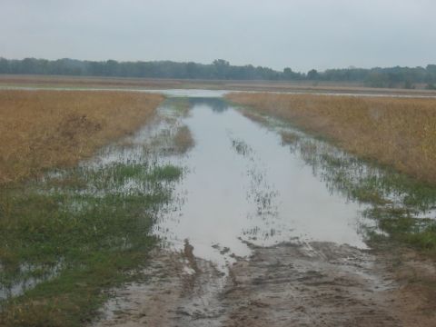 1988 Ford Bronco - A flooded dirt road stretches into the distance, disappearing into a body of water.