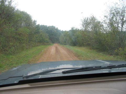 1988 Ford Bronco - Driving down a dirt road surrounded by trees, seen from inside the vehicle.