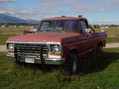 1978 Ford F-150 photo