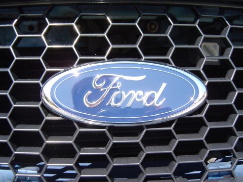 1999 Ford Crown Victoria - The Ford emblem is centered on a black grille with a hexagonal pattern.