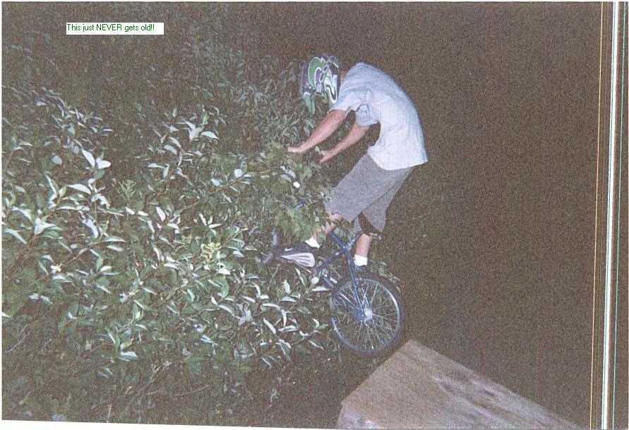 Person on a bicycle with helmet, reaching for bushes next to a ramp