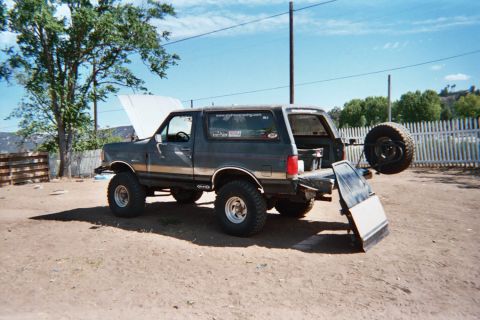 1990 Ford Bronco - lifted dark Ford Bronco with a gold side stripe, hood up and rear-mounted spare sits in a fenced dirt yard under a clear sky.