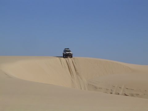 1982 Ford Bronco - A white 1982 Ford Bronco navigates a sandy incline on a clear day, leaving tire tracks in its wake.