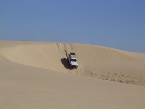 1982 Ford Bronco - SUV navigates a sandy slope, leaving tracks in the desert landscape.