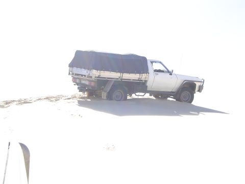 1982 Ford Bronco - A white pickup truck with a black tarp covering its bed is parked on a sandy surface.