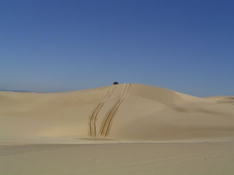 1982 Ford Bronco - A lone SUV ascends a sandy hill, leaving tire tracks in its wake under a clear blue sky.