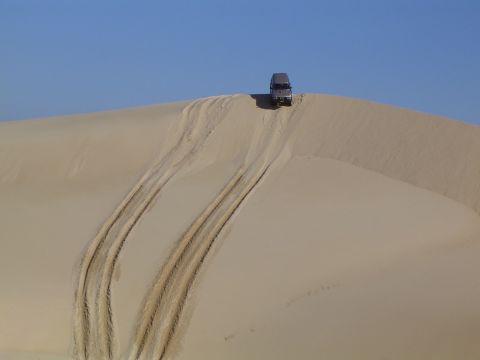 1982 Ford Bronco - A gray SUV navigates a steep sand dune, its tires carving deep tracks into the soft sand.