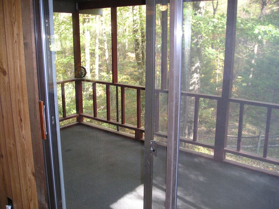 Screened porch with carpet and wood railing looking out into green forest