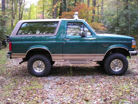 1996 Ford Bronco - My truck at the cabin