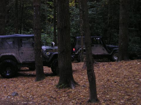 1996 Ford Bronco - Some jeeps