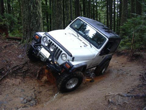 1991 Ford Bronco - A white Jeep Wrangler navigates a challenging muddy trail through a dense forest.