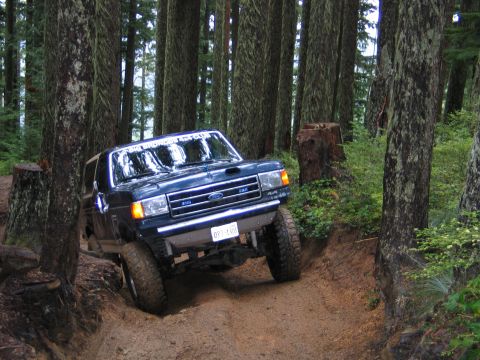 1991 Ford Bronco - This is what it looked like when I began this project
